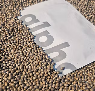 bag seeds_edited.jpg