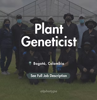 6666666666.png